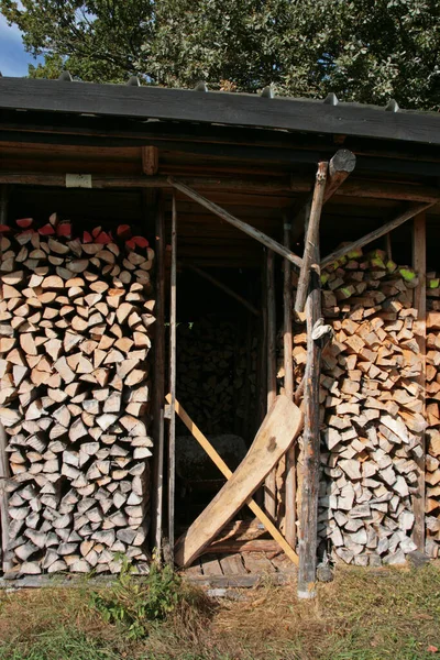 Chopped Firewood Hardwood Texture — Stock Photo, Image