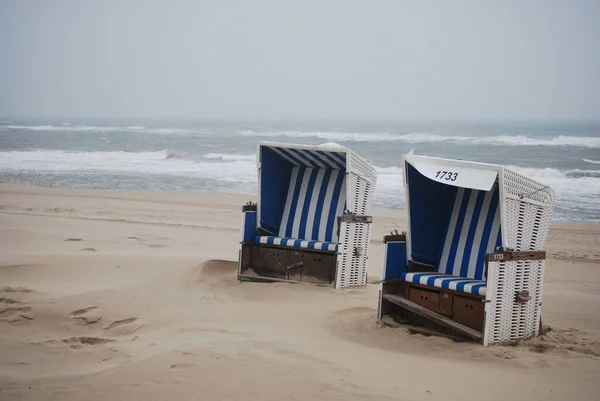 Strandkorgar Vid Havet Vid Dagtid — Stockfoto