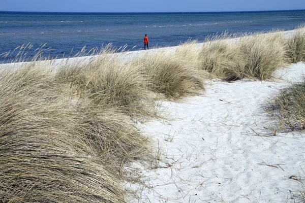 Playa Usedom — Foto de Stock