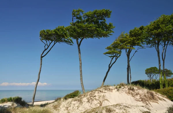 Vista Panoramica Delle Dune Focus Selettivo — Foto Stock