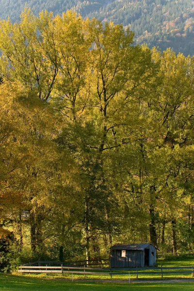 巴伐利亚秋季风景 — 图库照片
