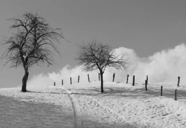 Zima Odenwaldu — Stock fotografie