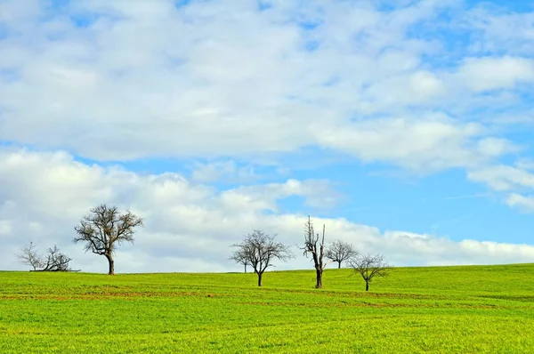 Picturesque View Countryside Scenery — Stock Photo, Image