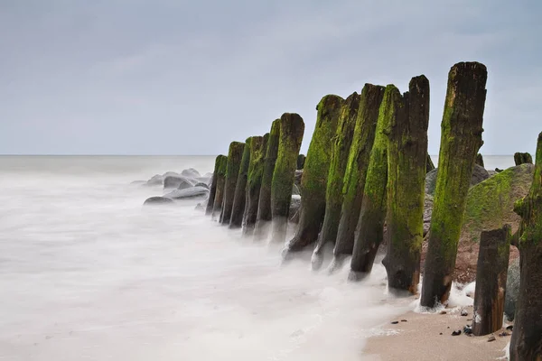 Blur South Africa Coastline Cape Good Hope Natural Park Reserve — Stock Photo, Image