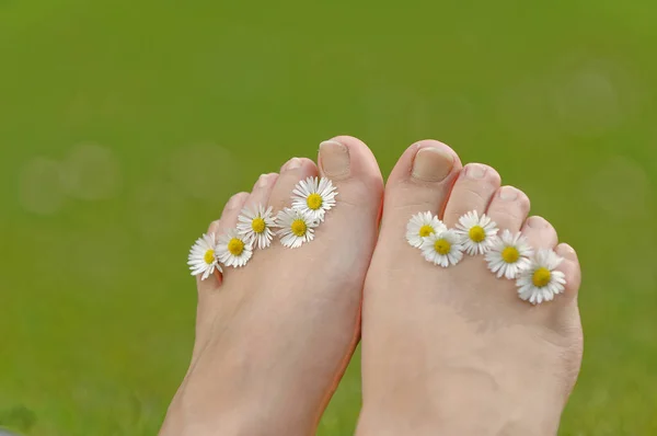 Женские Ноги Цветочном Саду — стоковое фото