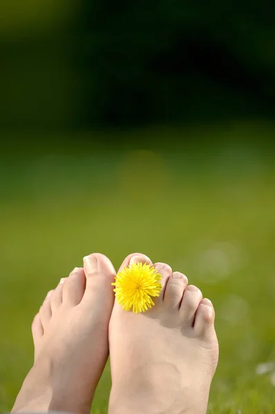 Close Van Voeten Van Vrouw Gele Bloem — Stockfoto