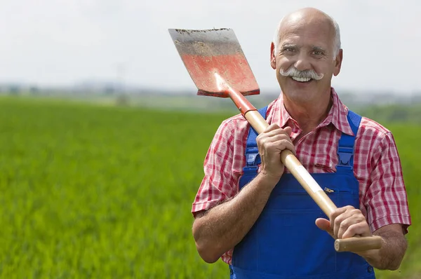 Hombre Con Rastrillo Sus Manos Campo —  Fotos de Stock