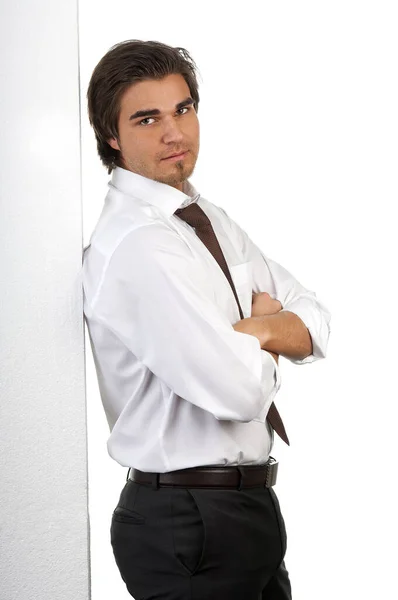 Portrait Handsome Successful Businessman — Stock Photo, Image
