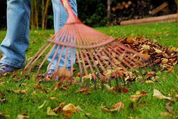 Piedi Una Donna Nel Parco — Foto Stock