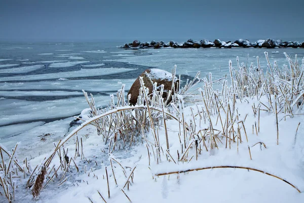 Χειμώνας Στις Ακτές Της Βαλτικής Θάλασσας — Φωτογραφία Αρχείου