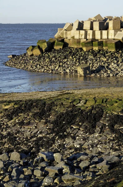 Shore Fortifications Cuxhaven — Stock Photo, Image