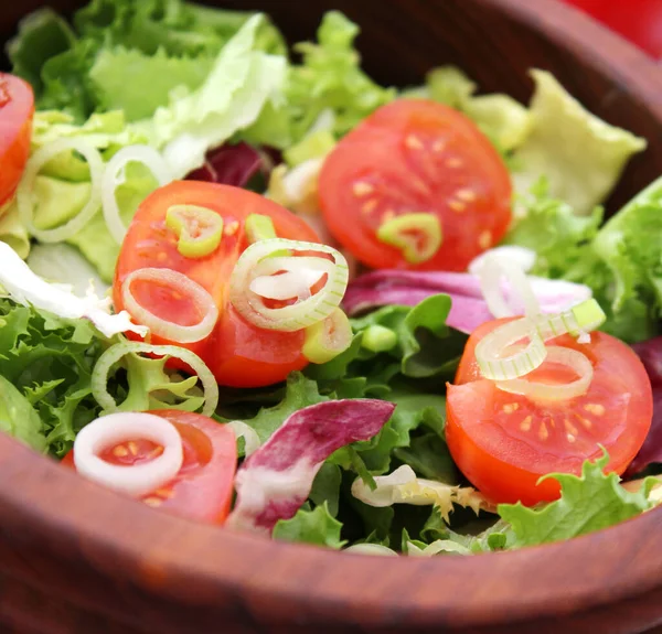 Vista Close Salada Saborosa Fresca — Fotografia de Stock