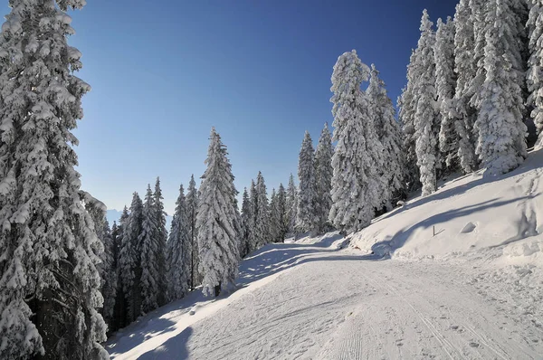 Vista Panorámica Del Majestuoso Paisaje Los Alpes —  Fotos de Stock