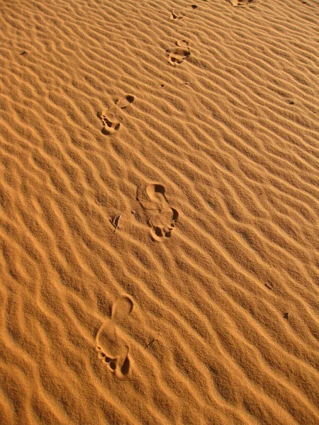 Woestijn Zand Oppervlak Geologie — Stockfoto