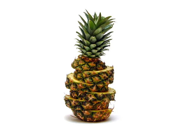 Verse Ananas Fruitplant — Stockfoto