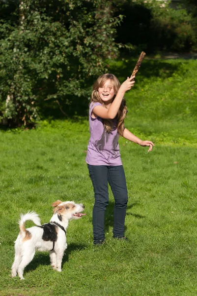 Jovem Mulher Com Seu Cão Parque — Fotografia de Stock