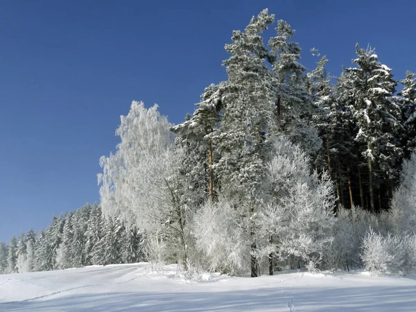 Vista Panorâmica Paisagem Inverno — Fotografia de Stock