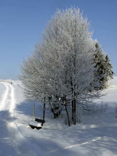 Naturskön Utsikt Över Vinterlandskapet — Stockfoto