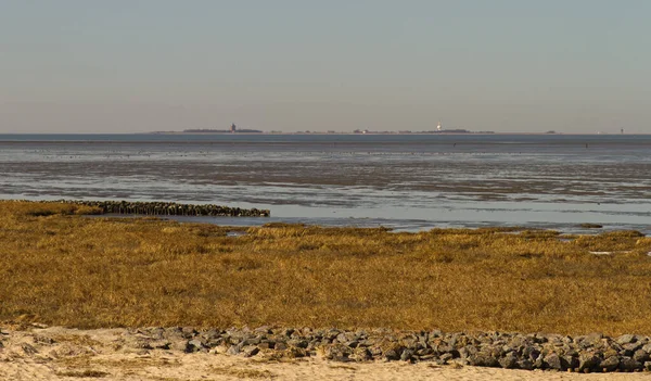 Utsikt Över Havet Och Stranden Den Döda Israel — Stockfoto