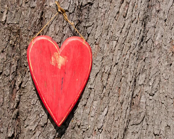 Baum Mit Herz Natur Und Liebeskonzept — Stockfoto