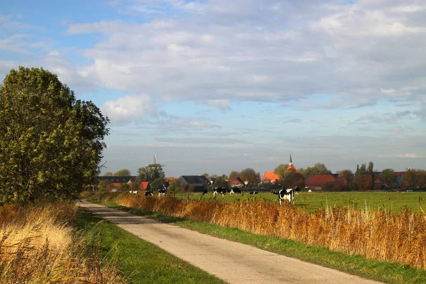 Klop Sterstr Voor Rysum — Stockfoto