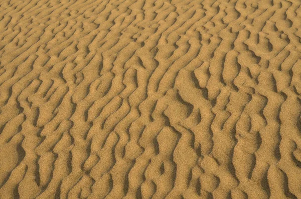 Песчаные Дюны Гран Канарии — стоковое фото