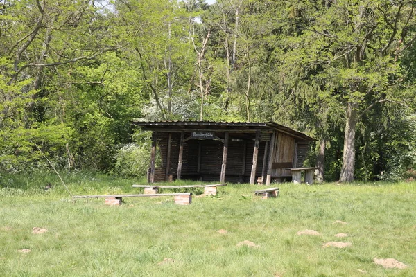 Stary Drewniany Dom Lesie — Zdjęcie stockowe