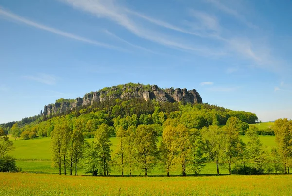 Hermoso Paisaje Con Campo Verde Cielo Azul — Foto de Stock