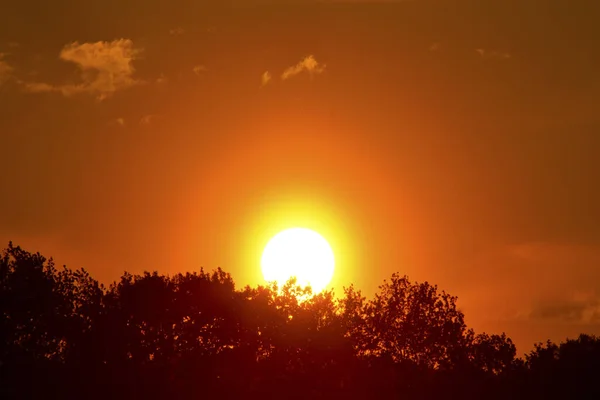 Pôr Sol Atrás Das Árvores — Fotografia de Stock