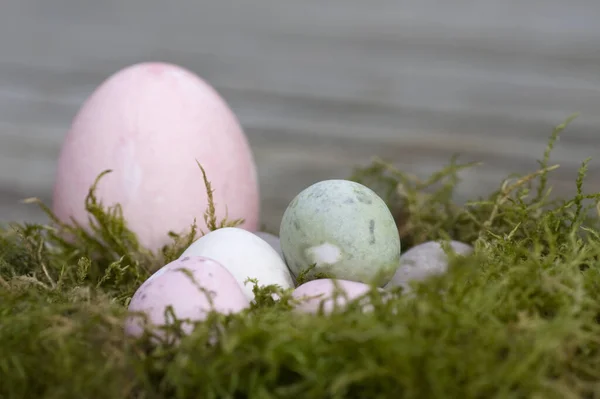 Yuvadaki Pastel Renkte Paskalya Yumurtaları — Stok fotoğraf