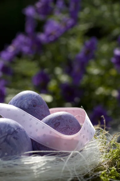 Huevos Pascua Púrpura Con Cinta Rosa —  Fotos de Stock