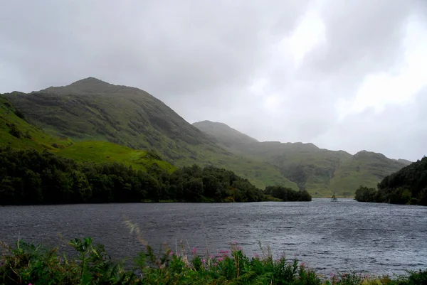 Écosse Loch Shiel Les Arbres Comme Minuscules Îles — Photo