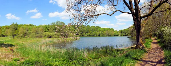 Holzmaar Panorama Eifel Vulcânico Com Percurso Pedestre — Fotografia de Stock