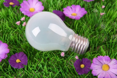 light bulb on green grass clipart
