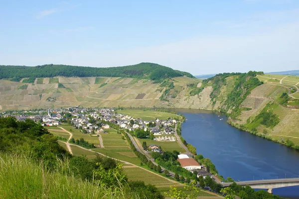 Vinařská Vesnice Piesport Moselle — Stock fotografie