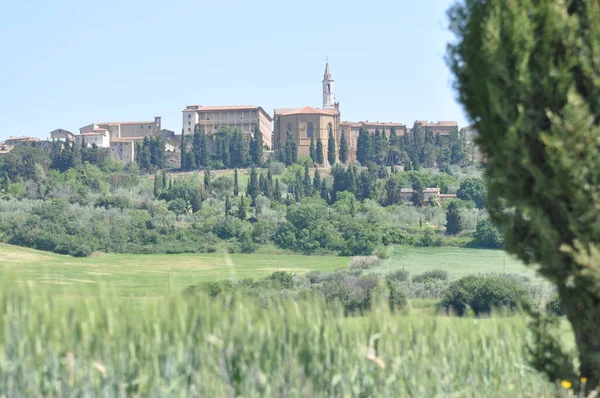 Paisaje Toscano Creta Senesi Toscana — Foto de Stock