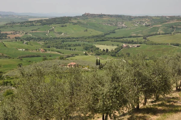 Tuscany Landscape Crete Senesi Tuscany — Stock Photo, Image