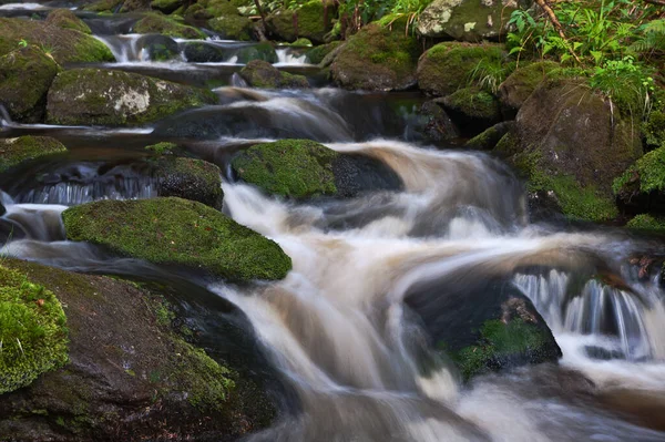 Little Ohe Bavarian Forest — Stock Photo, Image