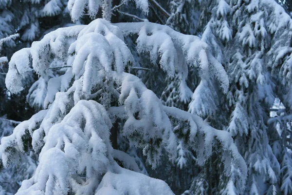 Incrível Natureza Alpes Montanhas Fundo — Fotografia de Stock