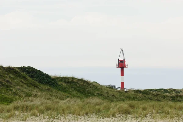 Een Natuurreservaat Een Beschermd Gebied Van Belang Voor Flora Fauna — Stockfoto