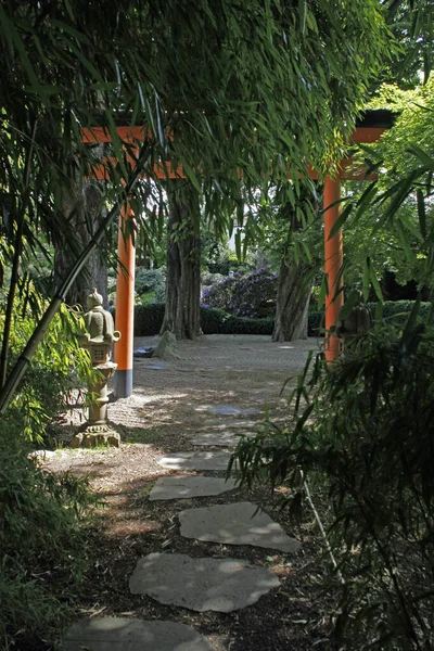 Японский Сад Бад Лангензальце — стоковое фото