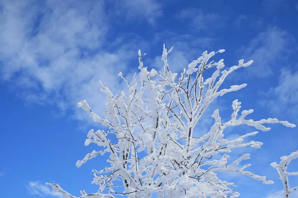 Зима Альпах — стокове фото