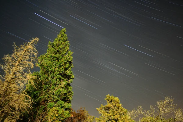 Flygfoto Över Skogen Sommaren — Stockfoto