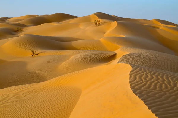 Vista Panoramica Delle Dune Focus Selettivo — Foto Stock