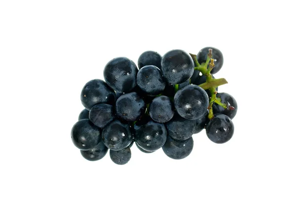 Синій Виноград Ізольований Білому — стокове фото