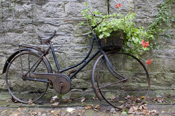 公園内の古い自転車は — ストック写真