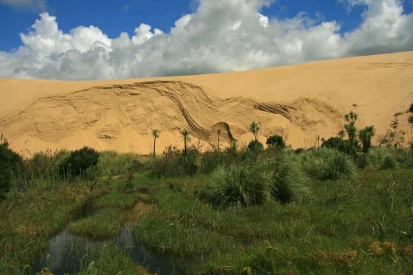 Dunas Gigantes Dunas Cabo Reinga Nueva Zelanda — Foto de Stock