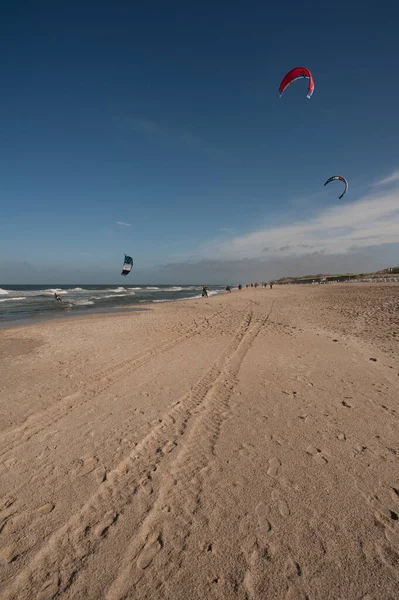 海滩上的风筝 — 图库照片