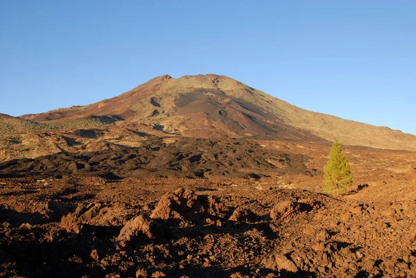 Εθνικό Πάρκο Teide Στην Τενερίφη — Φωτογραφία Αρχείου