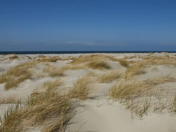Dune Beach Sea — Stock Photo, Image